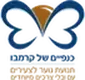 כנפיים של קרמבו